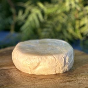 Queso Madurado de Cabra en AOVE